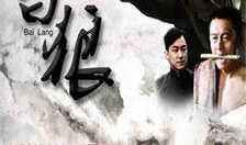 白狼 电视剧,揭秘神秘民族传奇，探寻英雄成长之路